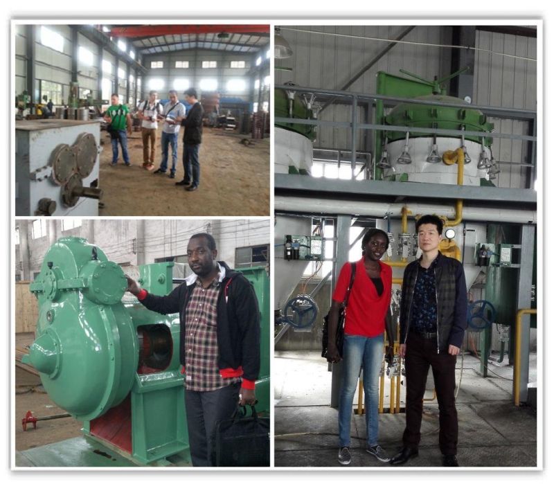 Centrifugal Modern Auto Oil Press Machine with Refiner