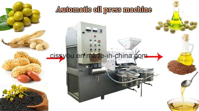 Hydraulic Peanut Sesame Soybean Seeds Oil Press Processing Machine (WS6YL)