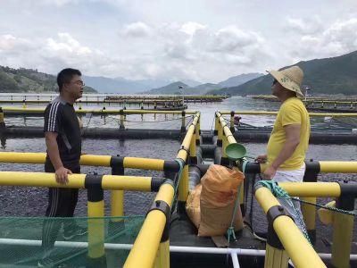 Square HDPE Tilapia Fish Farming Cages for Lake