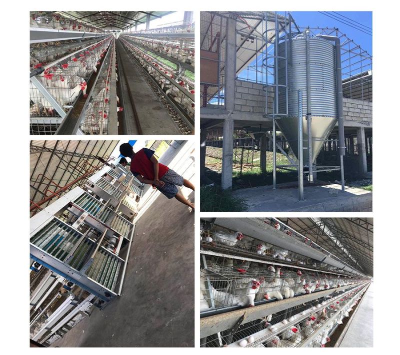 3 Tiers, 4 a Type Poultry Farm Equipment Battery Chicken Cage