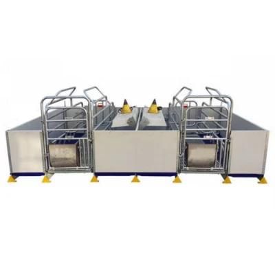 Hog Farm Housing Equipment Sow Stall Galvanized Farrowing Crate