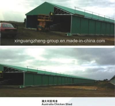 Australia Chicken Shed
