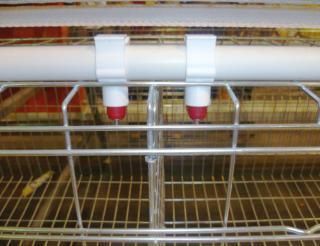 Chicken House Layer Equipment Poultry Farm