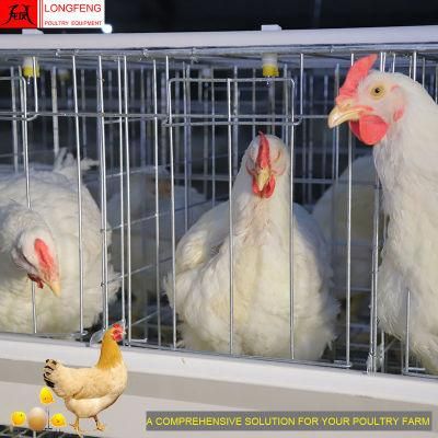 Factory Price Poultry Farming Equipment Farm Battery a Type Chicken Layer Cage 9Ltd390/3120/4120/4160
