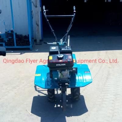 Mini Power Tiller Gasoline Tiller Small Garden Tiller Machine Made in China