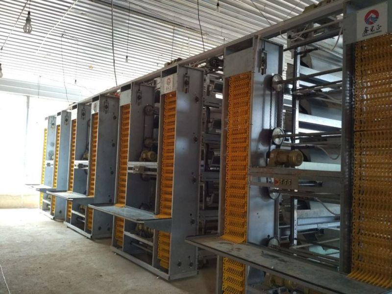 Galvanized Feed Silo for Layer Farm