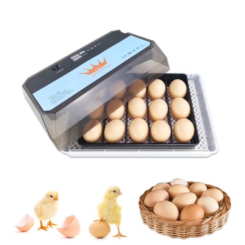220V Hot Sale Dual Power Incubator Poultry Egg Incubator 15 Chicken Egg Capacity
