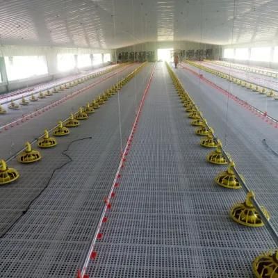 Customized Prefab/Prefabricated Automatic Steel Structure Broiler Shed