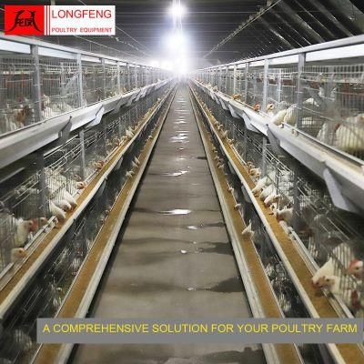 Customized Longfeng Standard Packing Broiler Chicken Cage with 1 Year Warranty
