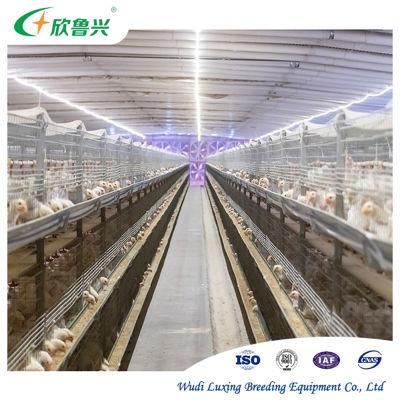 modern Design Broiler Cage Automatic Poultry Farming Equipment