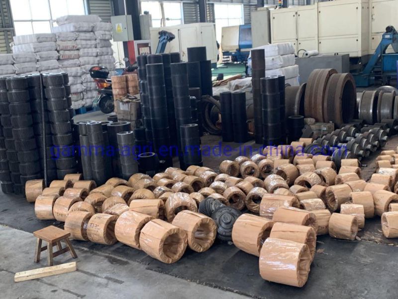 Wood Pellet Mill Ring Die