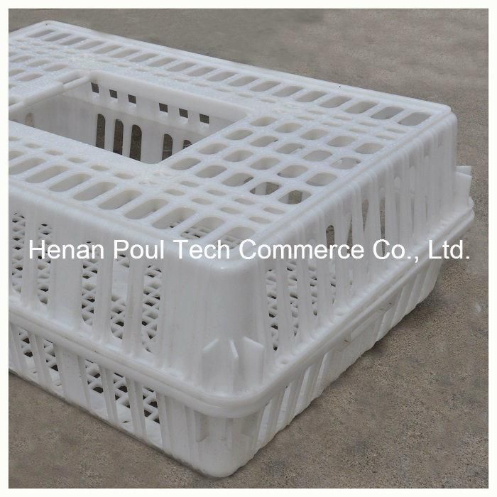 Plastic Chicken Transportation Cage for Chicken