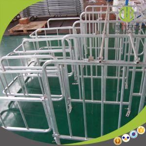 on Time Supply Competitive Price Pig Farm equipment Gestation Stall