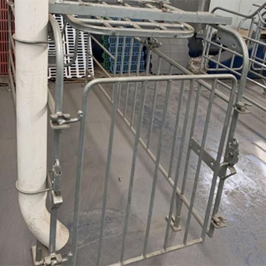 Hot DIP Galvanized Pig Gestation Crates Comfortable Environment for Piglets