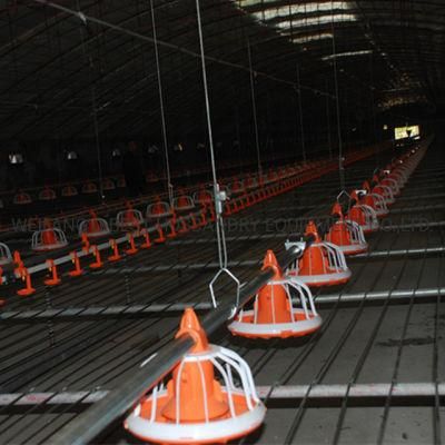 a Complete Set Automatic Poultry Farm Equipment for Feeding Chicken