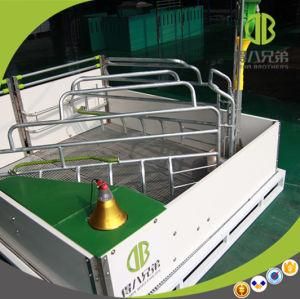 Pig Breeding and Farrowing Crate Piggery Equipment Agricultural Equipment for Sow