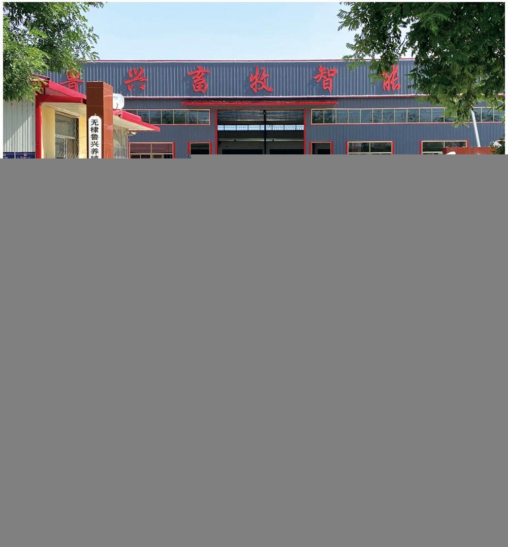 Hot Sale Poultry Farm H Type Full Automatic Egg Chickens Chicken Coop Layer Battery Cage