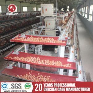 Silver Star Automatic Chicken Farm Poultry Cages