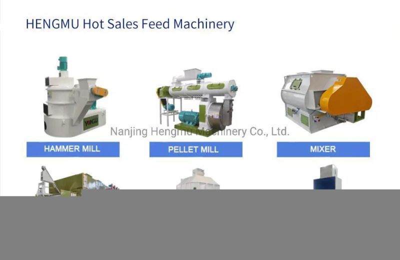 China Made Cheap Price Poultry Chicken Duck Cattle Sheep Feed Pelletizer Granulator Pellet Mill Machine