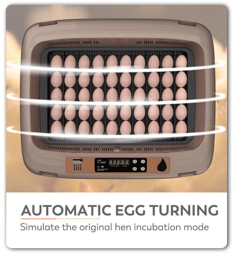 Hhd New Design Automatic Egg Turning 50 Eggs Incubator for Poultry Hatchery