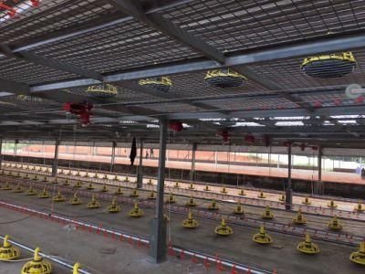 Poultry Farm Automatic Flat Raising Equipment