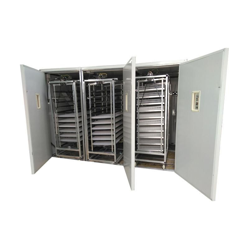 Poultry Eggs Incubator /Brooder Quail Poultry Hatchery Chicken Egg Incubator