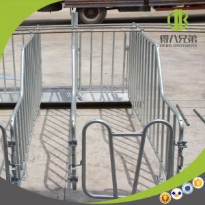 Pig Galvanized Farming Equipment Gestation Stall for Pig
