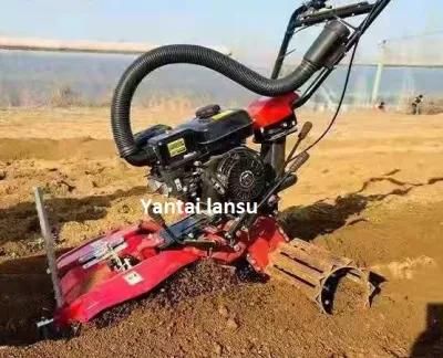 China CE Farming Machinery Mini Two Wheel Motocultor Power Weeder Tiller