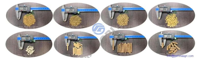 Hot Sale Small Animal Feed Pellet Machine Production Line