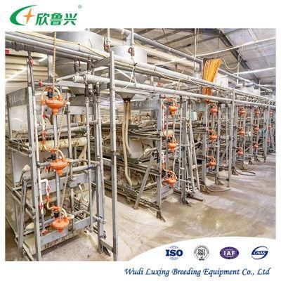 Automatic Broiler Feeding System H Type Battery Broiler Chicken Cage for Sale