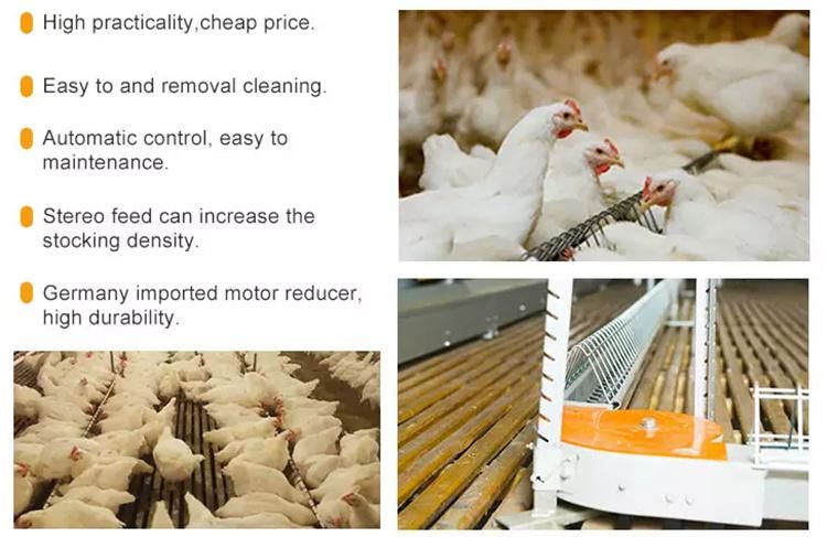 Automatic Chain Feeding Pan Feeder Poultry Equipment for Chicken Breeder
