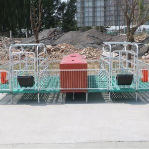 Pig Farm Equipment Farrowing Equipment Galvanized Farrowing Crate