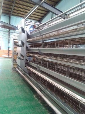 Design Poultry Housing Systems for Layer Hens