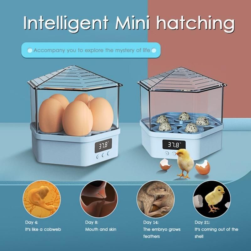 Mini Home Use High Hatchery Rate Automatic Poultry Hatching Chicken Goose Quail Duck Trays Chicken Egg Incubator