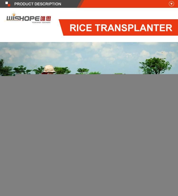 4 Row Hand Operation Paddy Field Rice Transplanter in Indonesia