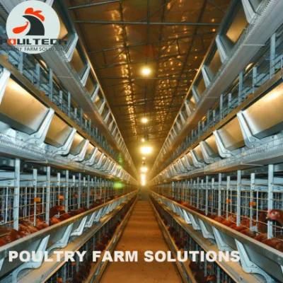 2022 New H Type Layer Chicken Cage with Automatic Equipment