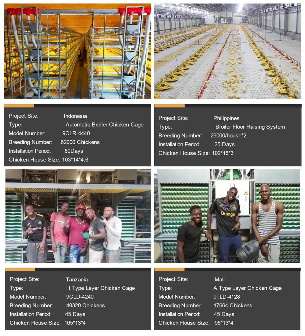 Poultry equipment manufacturer broiler farm chicken cage with 20 years experience