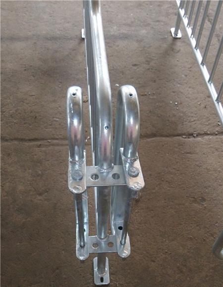 Low Price Breeding Equipment Sow Cage Pig Farm in India for Sale