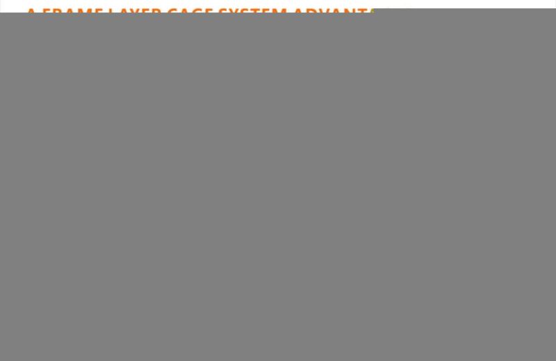 Automatic Battery Egg Hens Poultry Equipment Chicken Birds Cage