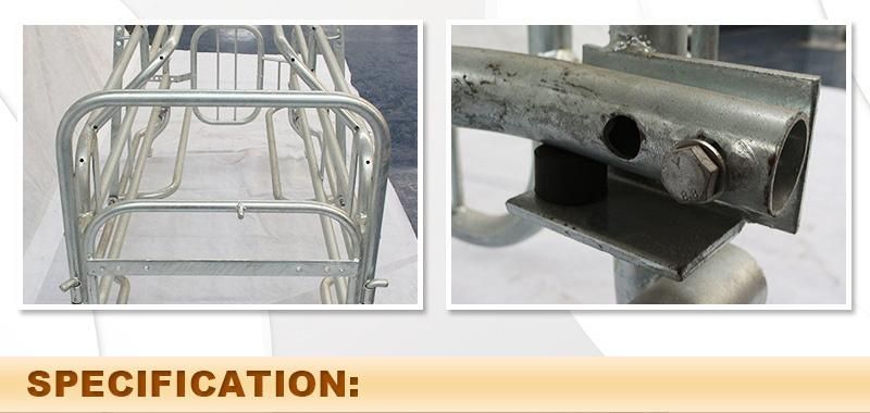 Pig Farrowing Crate Sow Gestation Stalls
