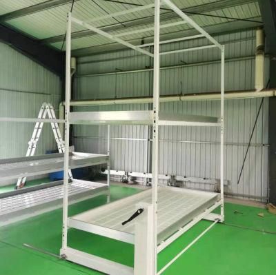 Galvanizd Steel &amp; Aluminum Frame Multi Level Grow Rack Flood Rolling Benches Tables for Sale