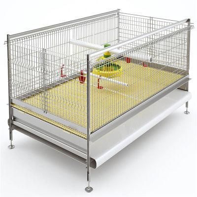 Prefabricated High Technical Easily Management Quality Chicken Farm