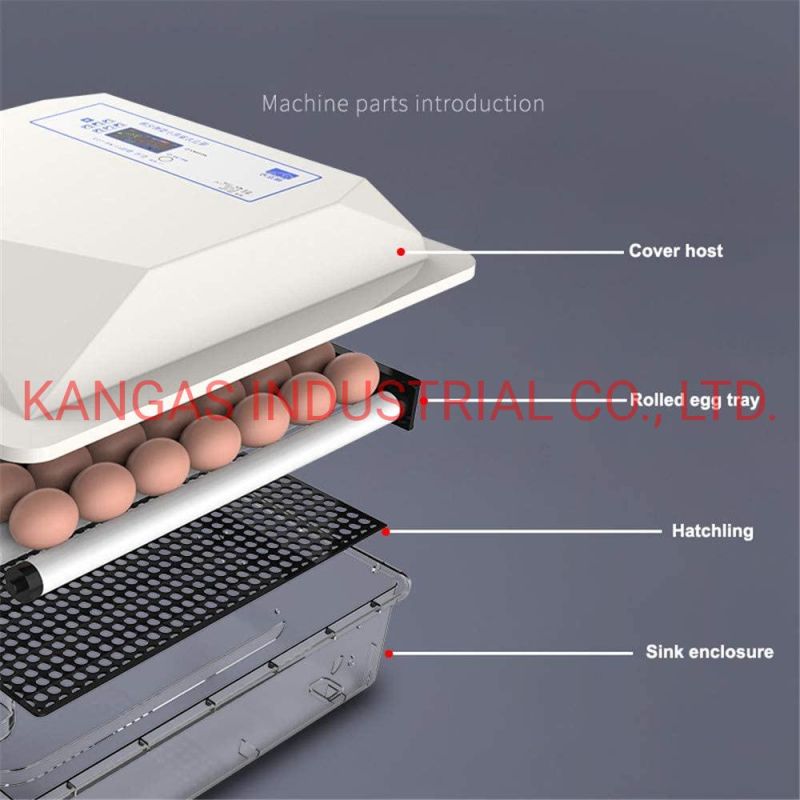 Mini Full Automatic Chicken Egg Incubator Commercial Hatching Machine Incubator