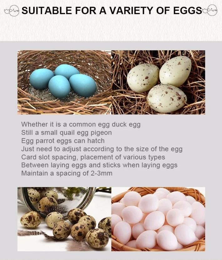 Automatic New Kind Chicken Eggs Incubator