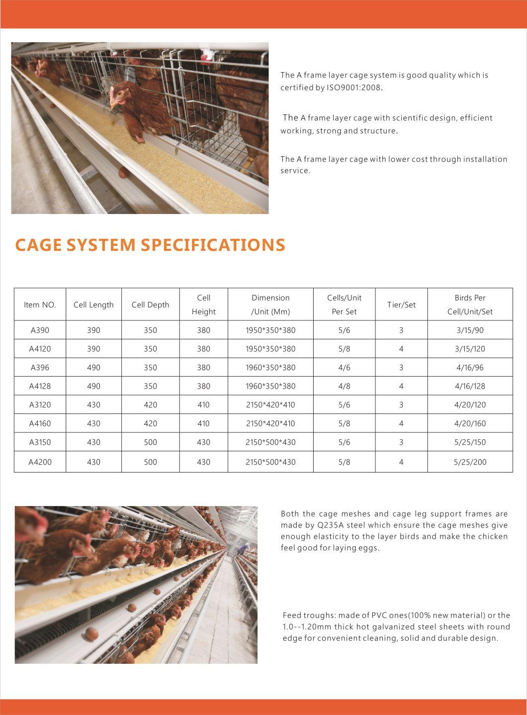 H Type Good Quality Layer Chicken Cage Poultry Farm Equipment