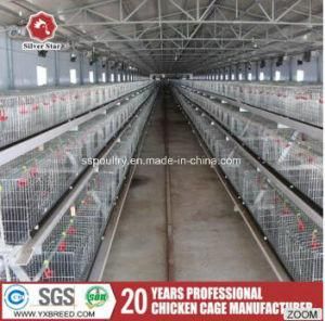 Galvanized 3-Tier Egg Poultry Battery Cage