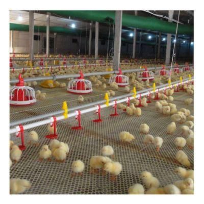 Broiler Floor Raising Chicken Farming/Farm Feeding System Automatic Poultry Machine