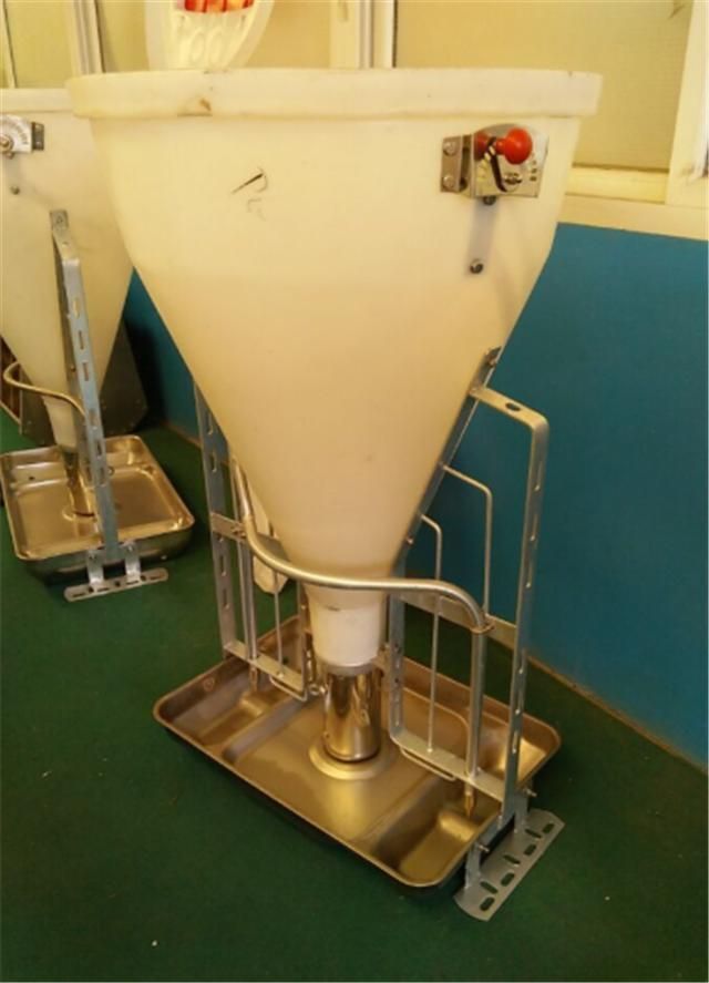 Hot Sale Automatic Feeder Pig Used Dry and Wet Pig Feeder for Sale