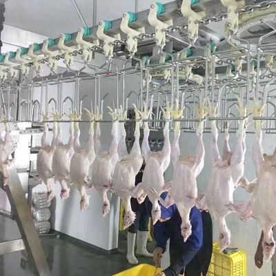 Factory Price 800bph Poultry Chicken Slaughter Lline/ Butcher Equipment