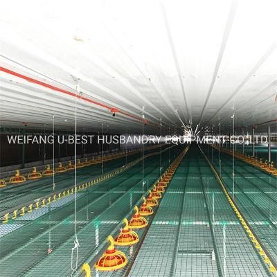 Closed Poultry House Chicken Farm Equipment with Feeder and Drinker